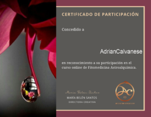 Adrian-Calvanese-Fitomedicina-Astroalquimica-AstroHerbarium.png