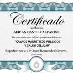 campos-magneticos-diploma.jpg