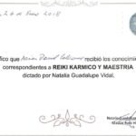 reiki-karmico-e1684465715746.jpg