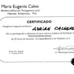 transgeneracional-e1684465735308.jpg
