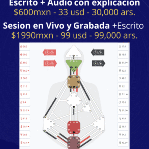 Lectura de Diseño Humano Sesion en Vivo y Grabada